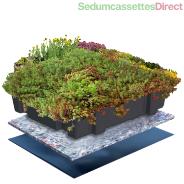Biodiverse sedumcassettes met een mix van sedumsoorten en kruiden, makkelijk te plaatsen.